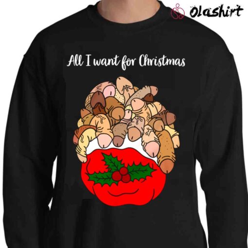 Bag of Dicks Ugly Christmas Sweater Women Dirty Santa Naughty Christmas Sweater Shirt