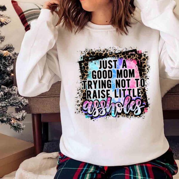 Im Just A Mom Trying To Not Raise Assholes shirt Sweater shirt