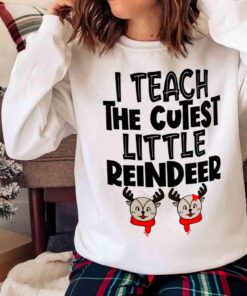 Stocking Stuffer, Secret Santa, Exchange, Holiday Apparel, Christmas Apparel Sweater Shirt