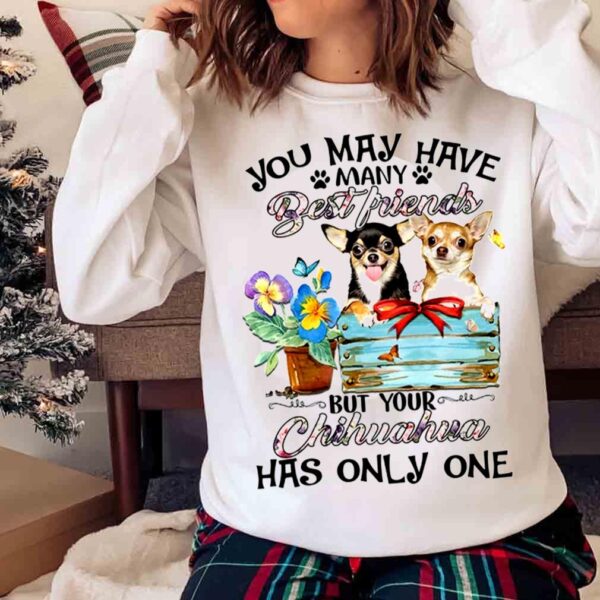 Your chihuahua has only you T shirt Sweater shirt