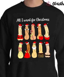 all i want for christmas Naughty Santa Shirt Sweater Shirt