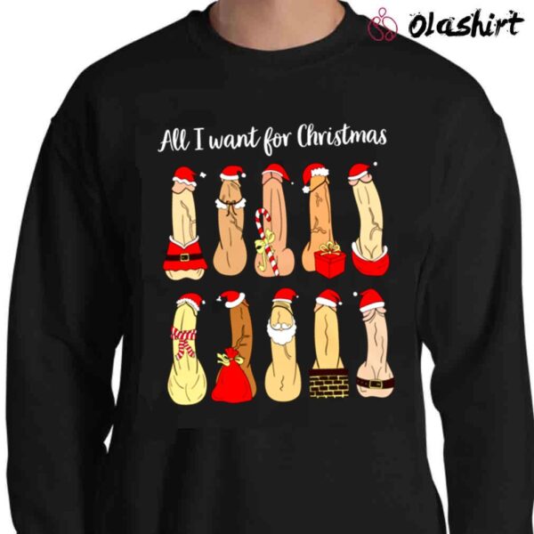 all i want for christmas Naughty Santa Shirt Sweater Shirt