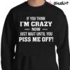 If You Think Im Crazy Now Shirt Sweater Shirt