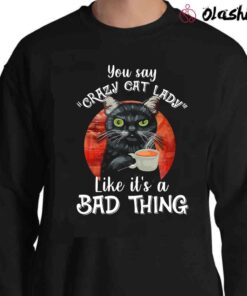You Say Crazy Cat Lady Like Its A Bad Thing shirt Sweater Shirt
